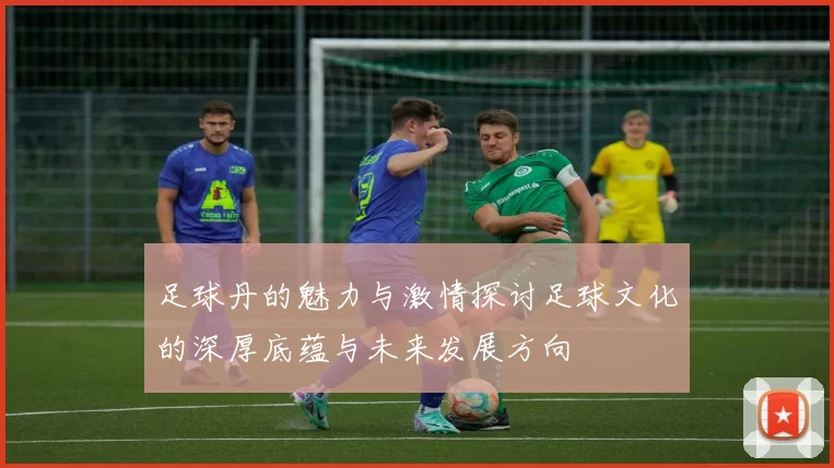 足球丹的魅力与激情探讨足球文化的深厚底蕴与未来发展方向