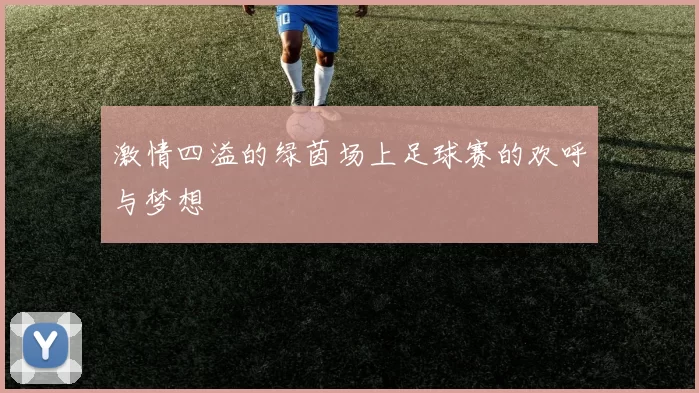 激情四溢的绿茵场上足球赛的欢呼与梦想