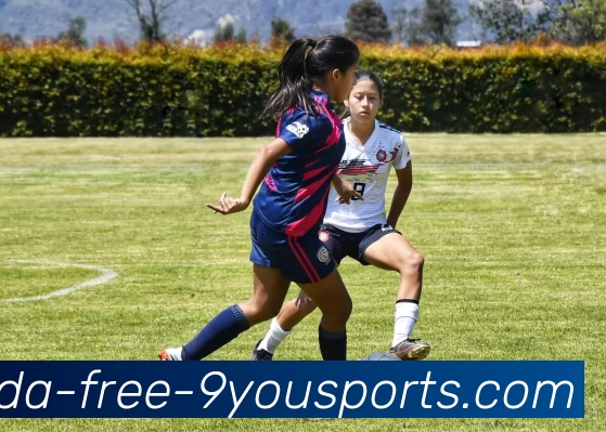 九游体育平台生态图