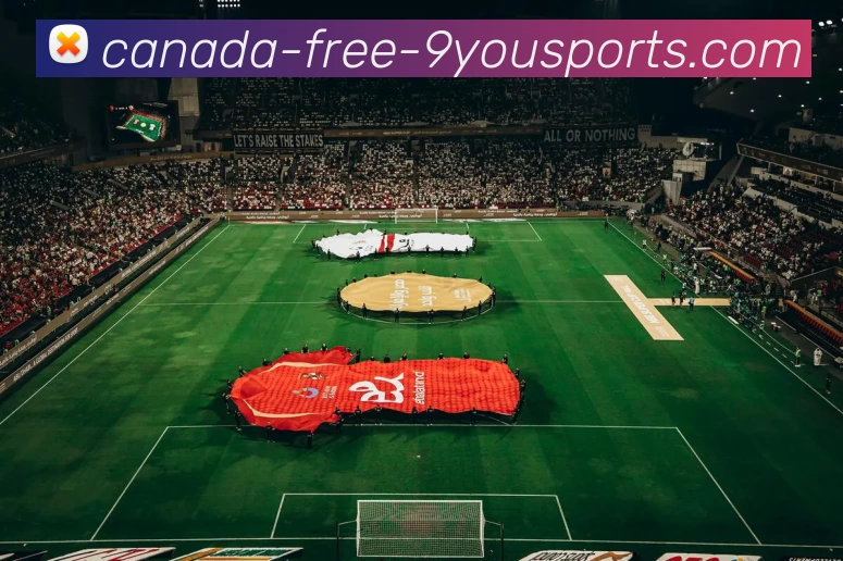 九游体育全站App